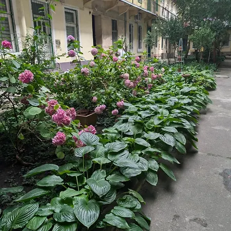 A57 Downtown- 1 Br-ac Budapešť